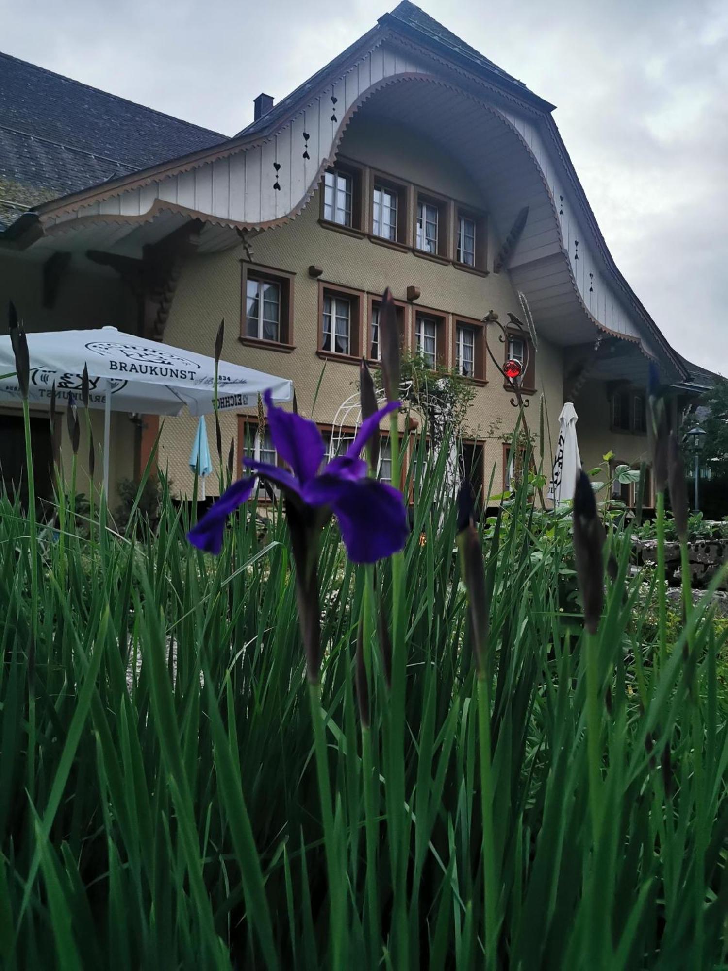 Gasthof Kreuz Marbach Extérieur photo