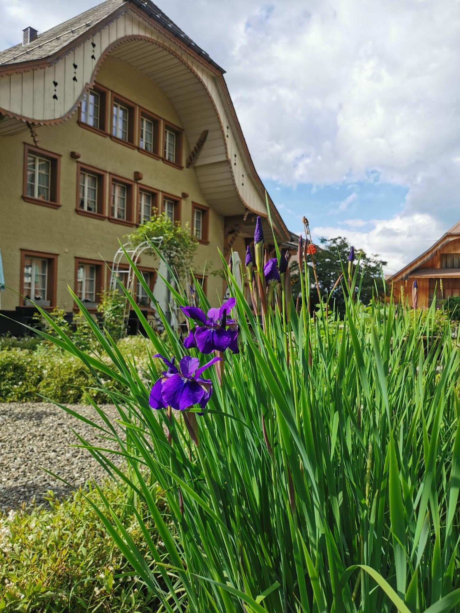 Gasthof Kreuz Marbach Extérieur photo