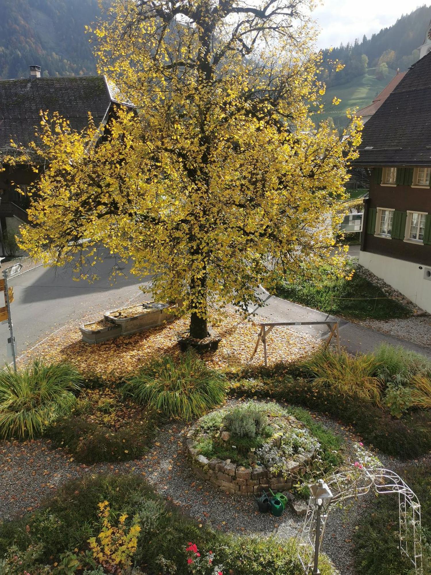 Gasthof Kreuz Marbach Extérieur photo