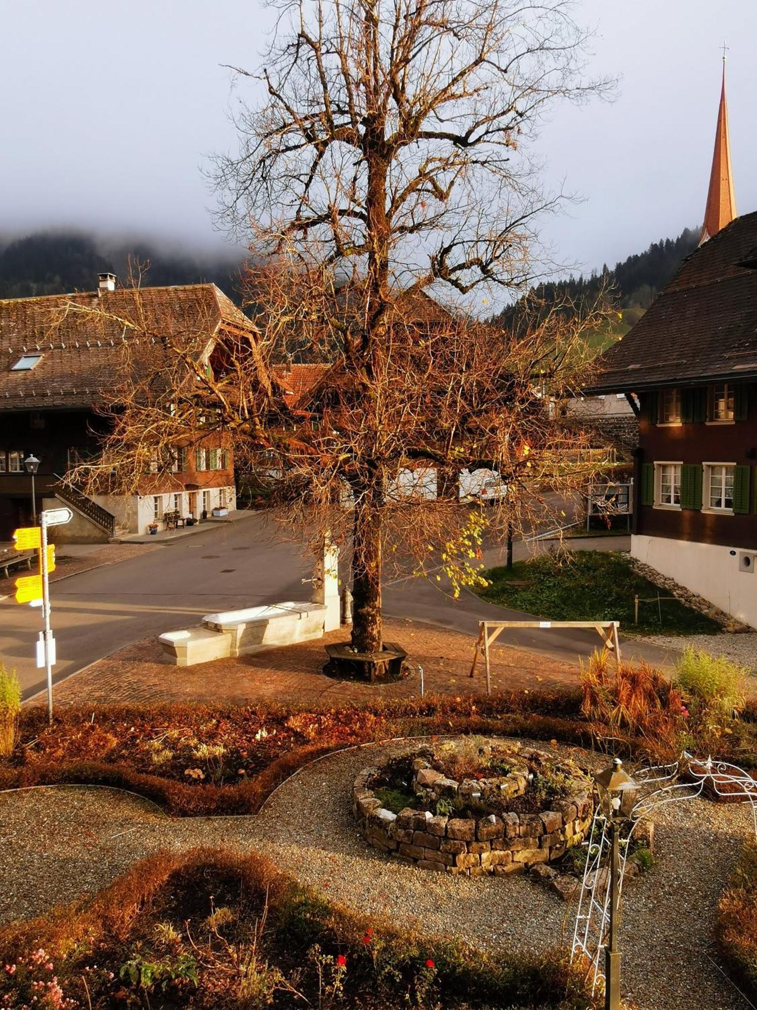 Gasthof Kreuz Marbach Extérieur photo